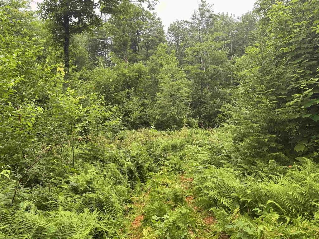 185 Valley View Road Dover VT 05356