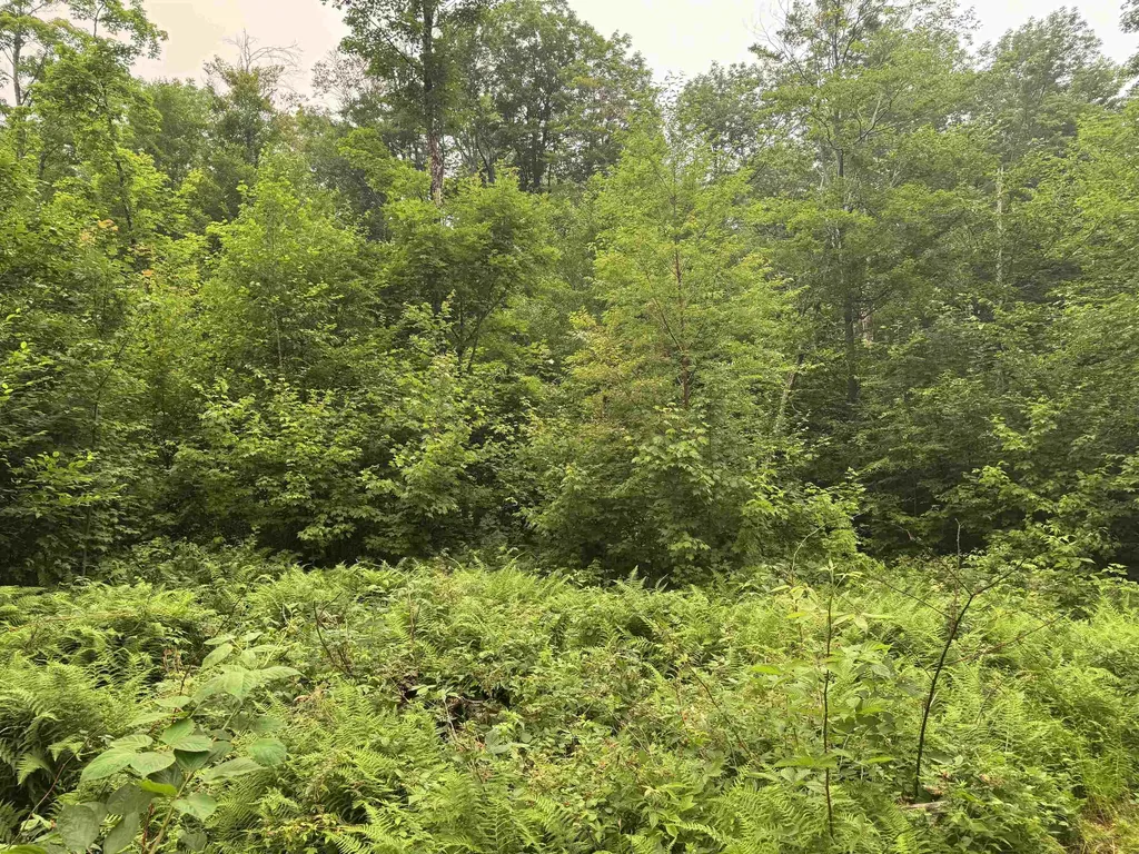 185 Valley View Road Dover VT 05356