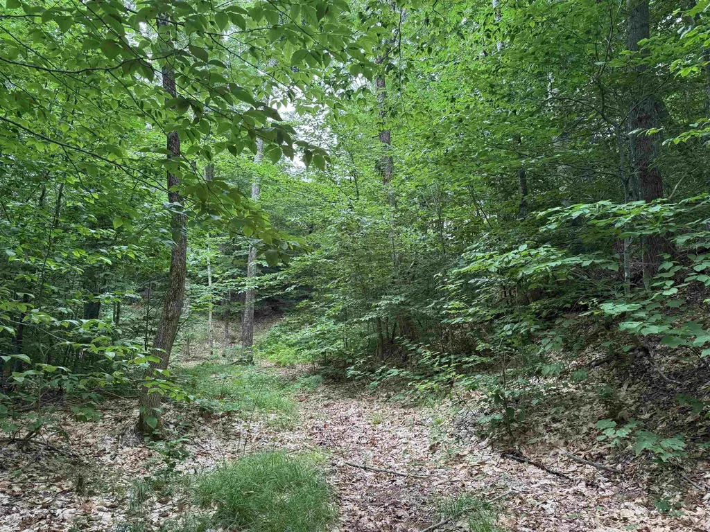 185 Valley View Road Dover VT 05356