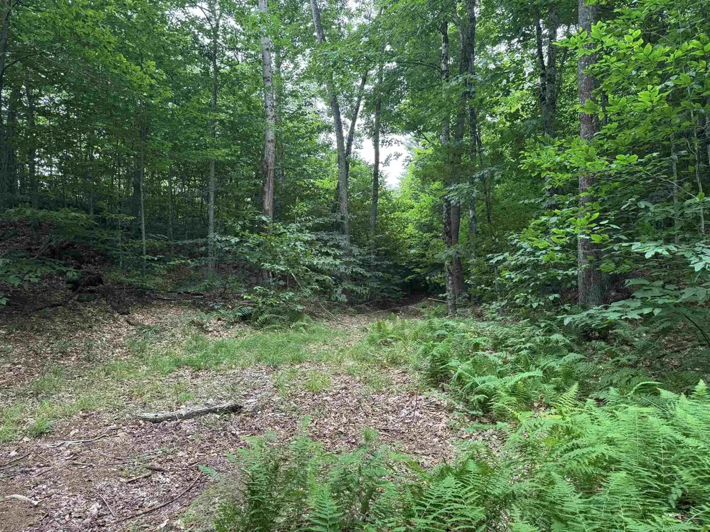 185 Valley View Road Dover VT 05356