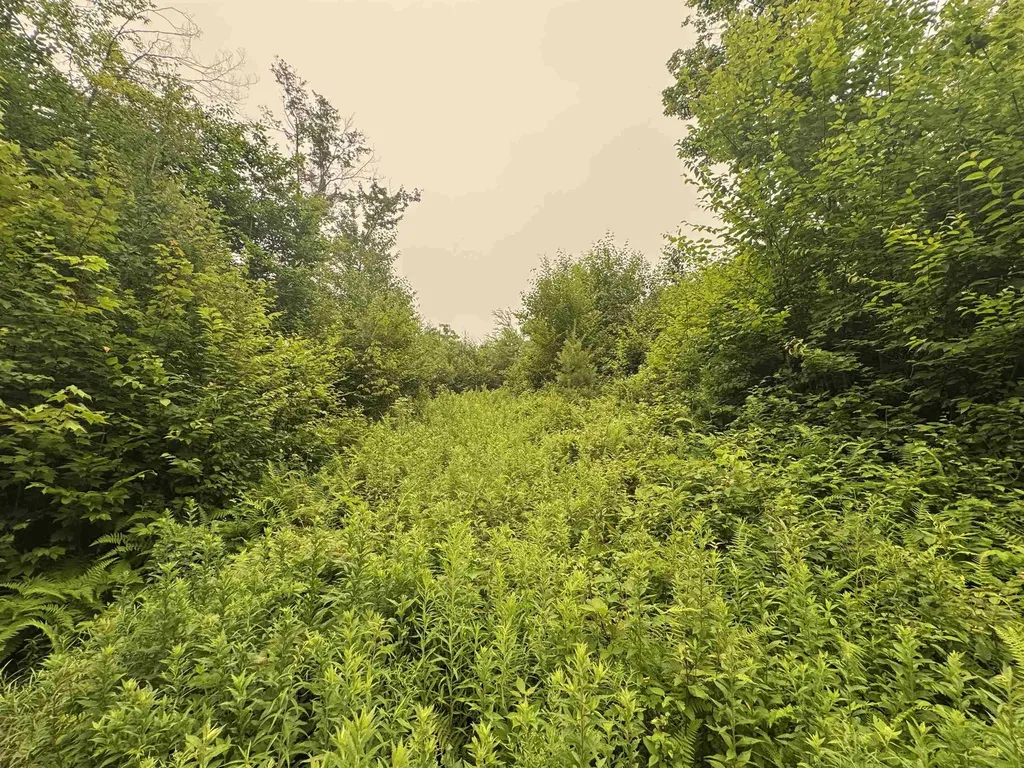 185 Valley View Road Dover VT 05356
