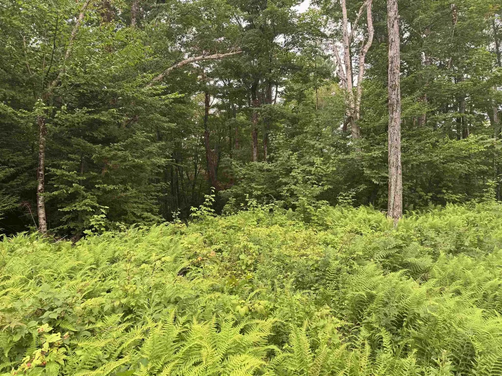 185 Valley View Road Dover VT 05356