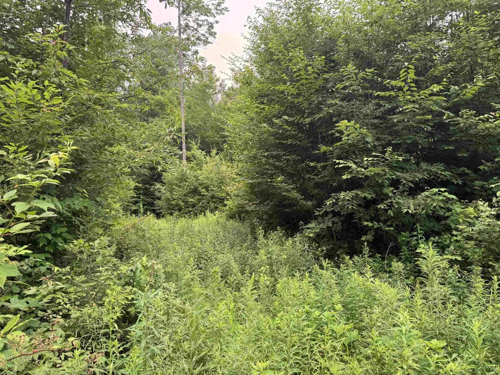 185 Valley View Road Dover VT 05356