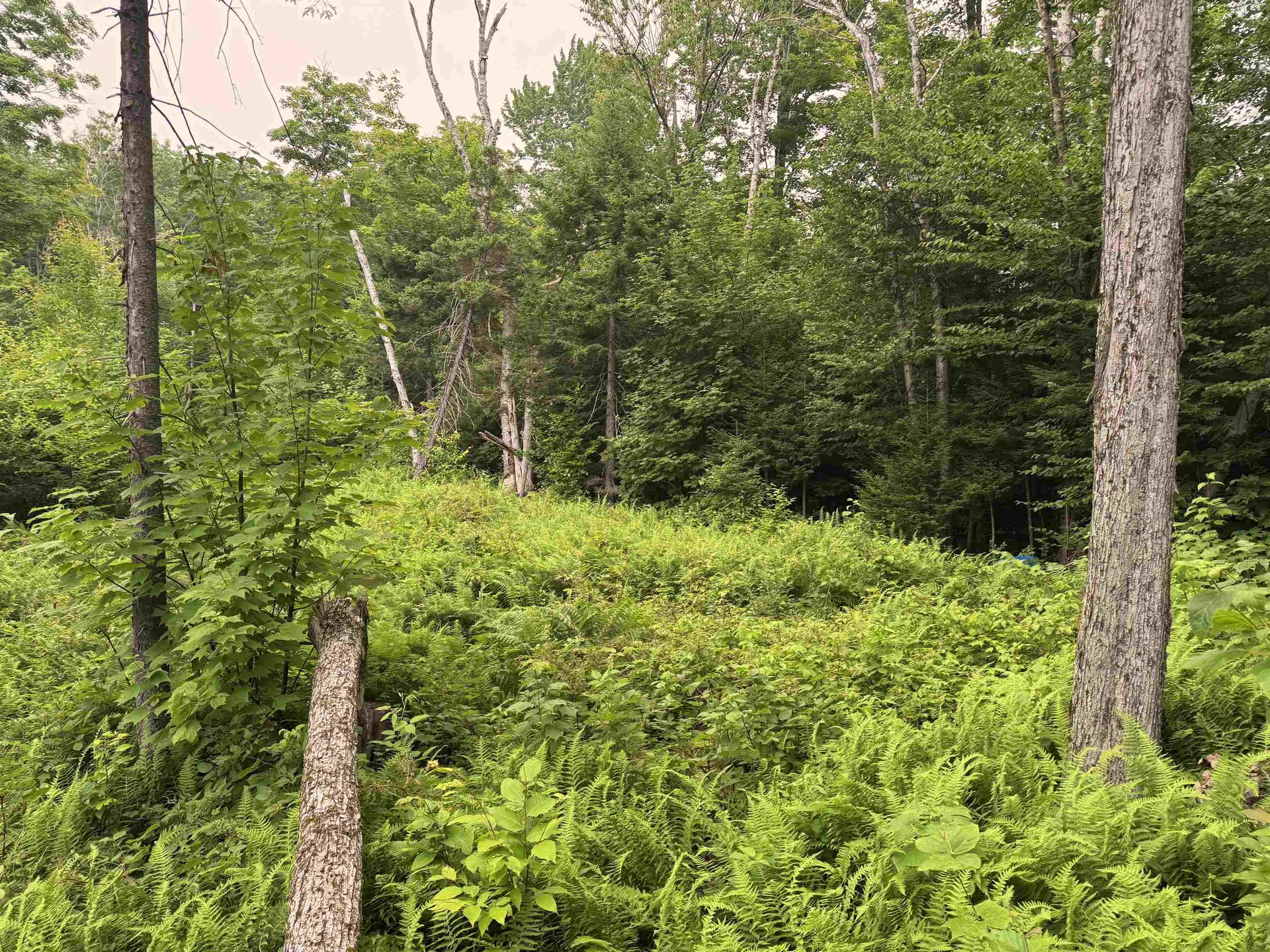 185 Valley View Road Dover VT 05356