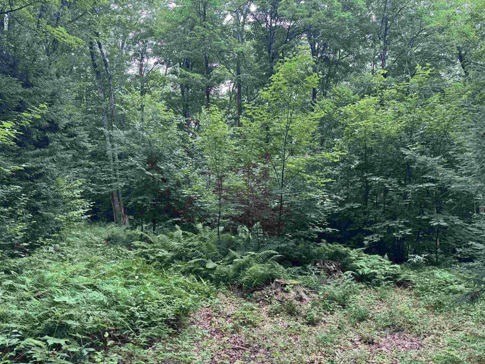 185 Valley View Road Dover VT 05356