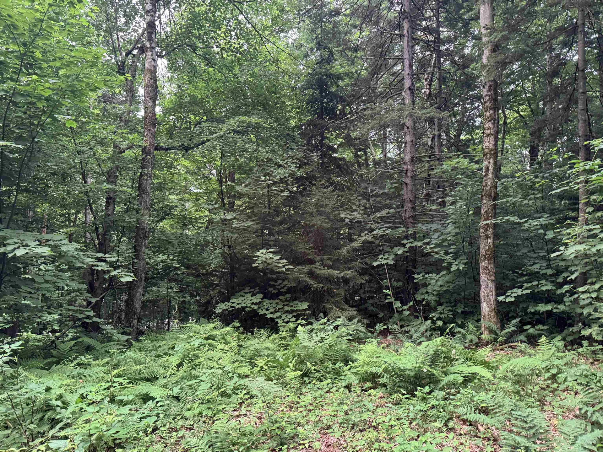 185 Valley View Road Dover VT 05356