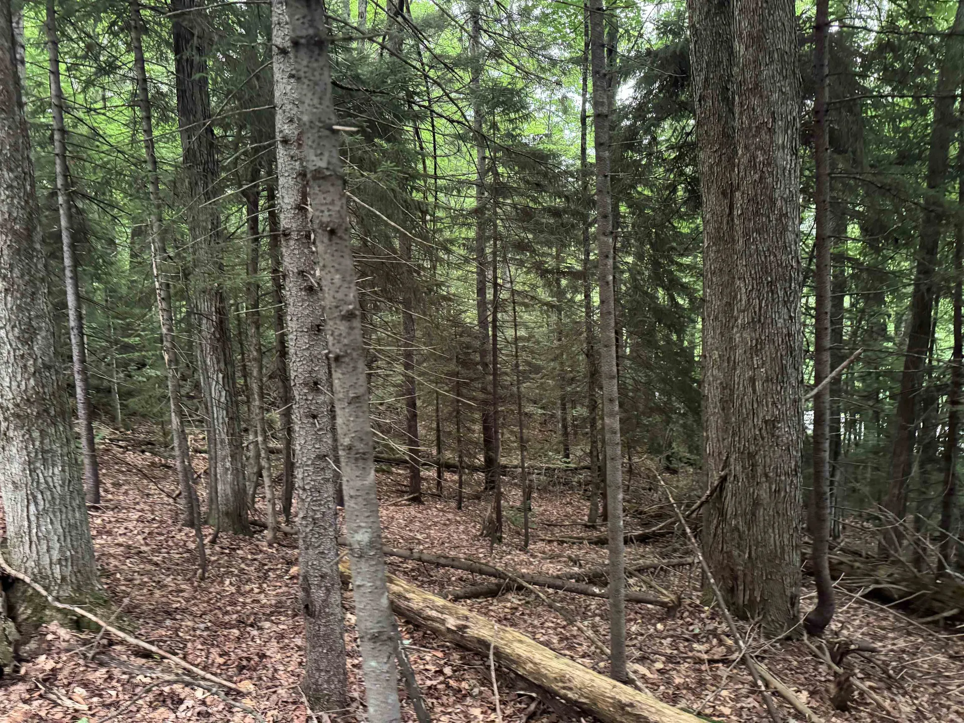 185 Valley View Road Dover VT 05356
