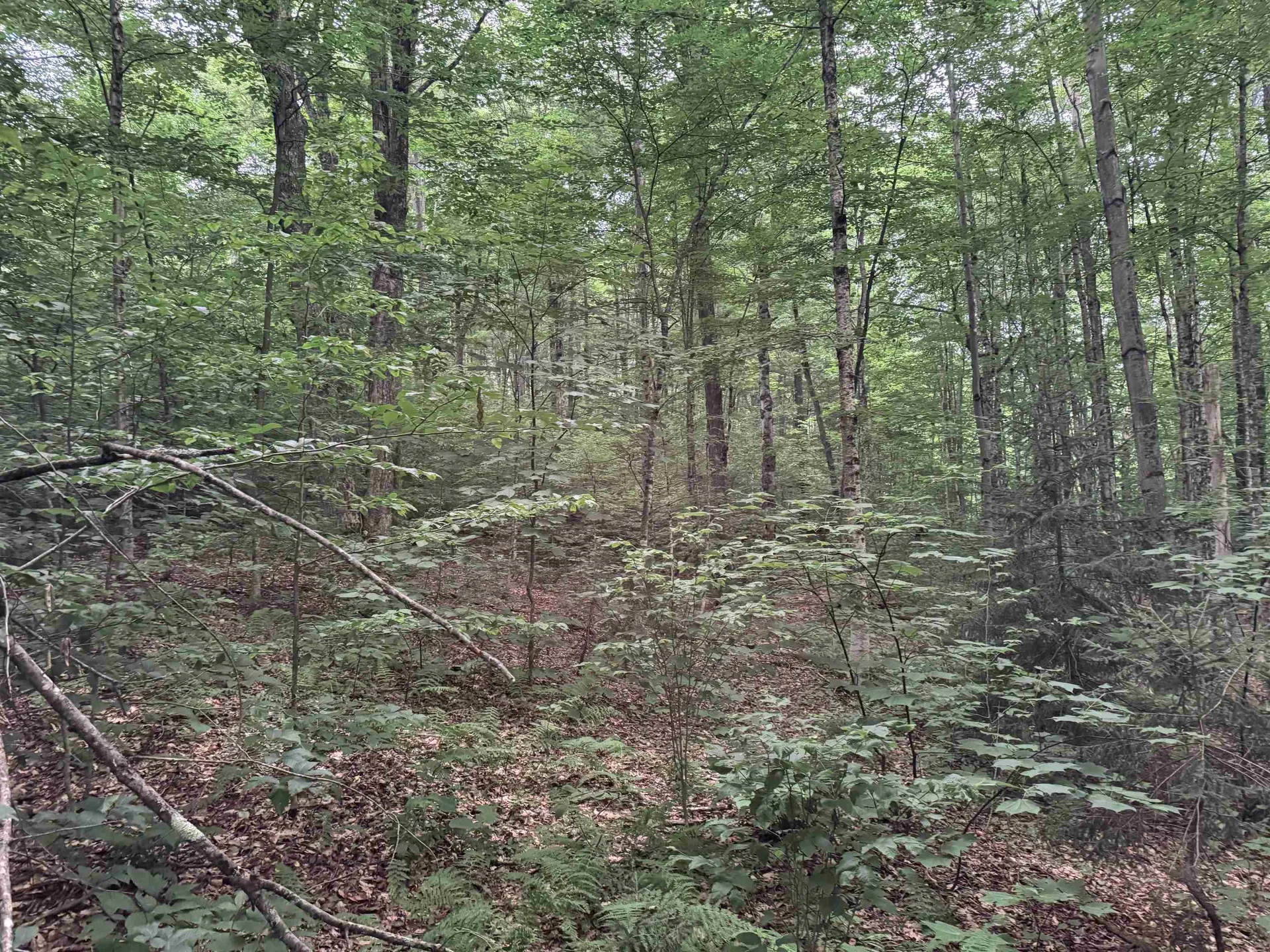 185 Valley View Road Dover VT 05356