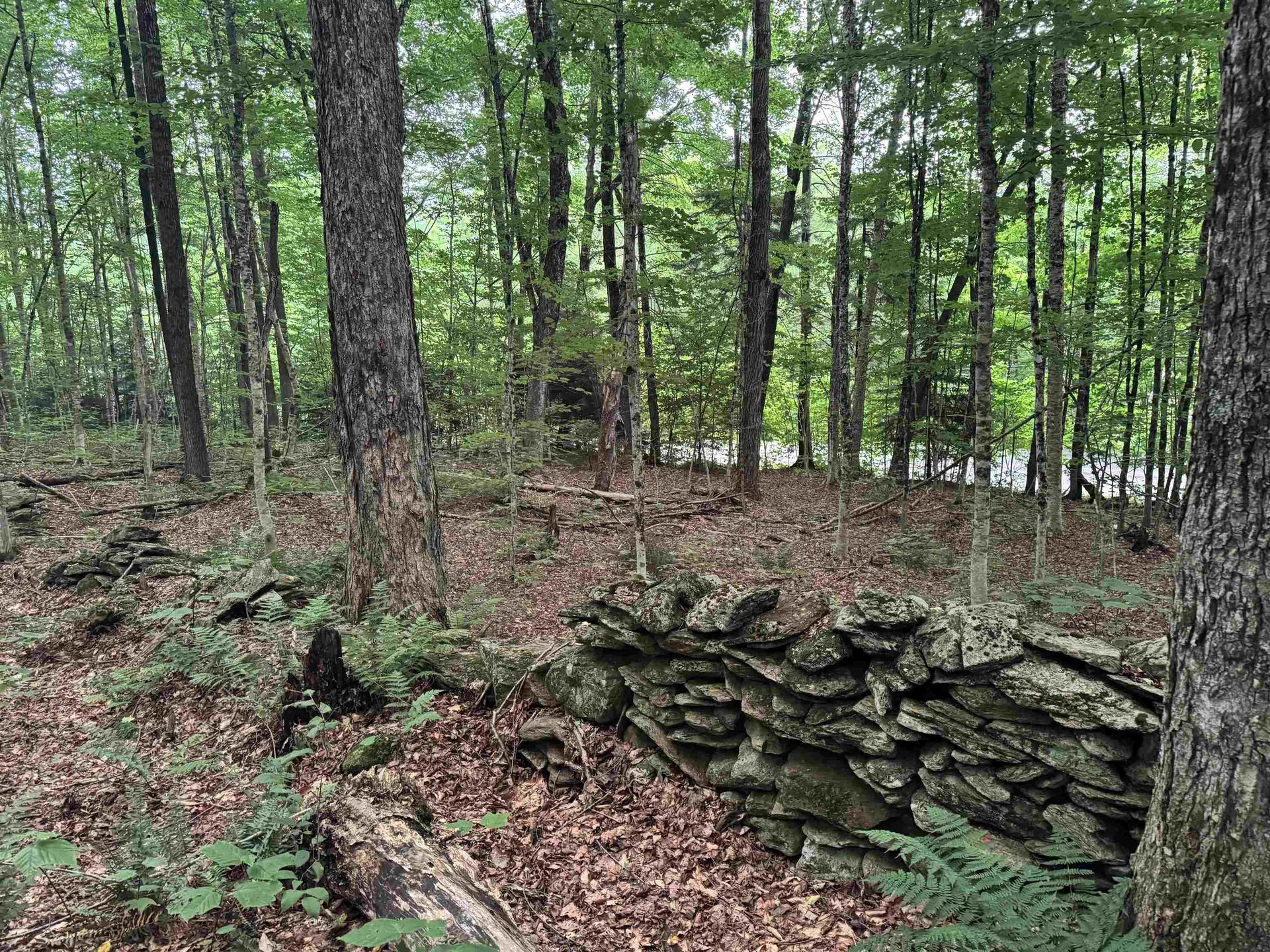 185 Valley View Road Dover VT 05356