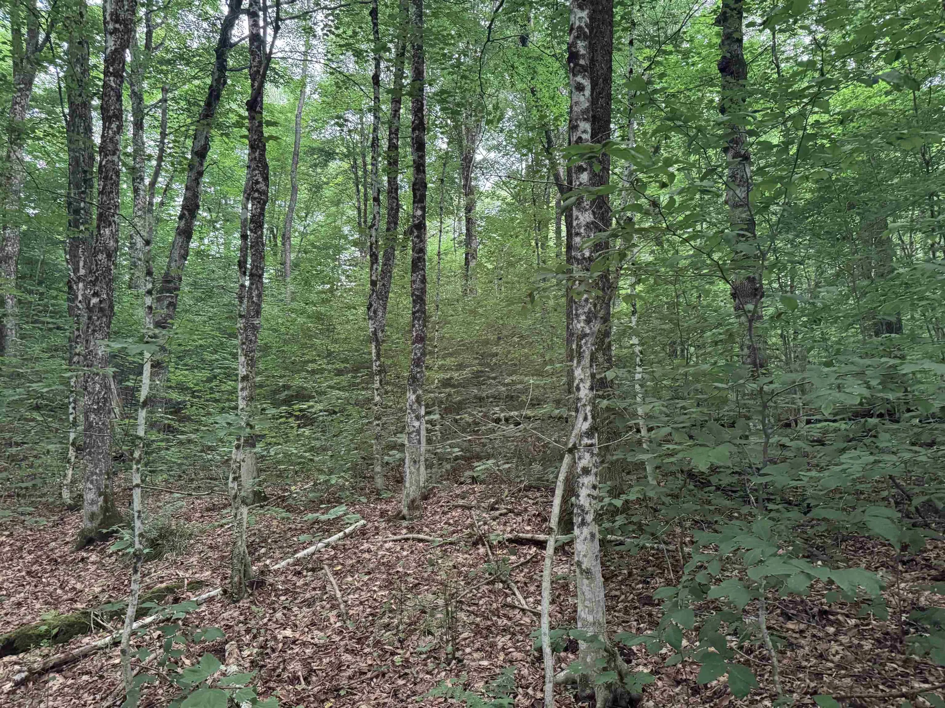 185 Valley View Road Dover VT 05356