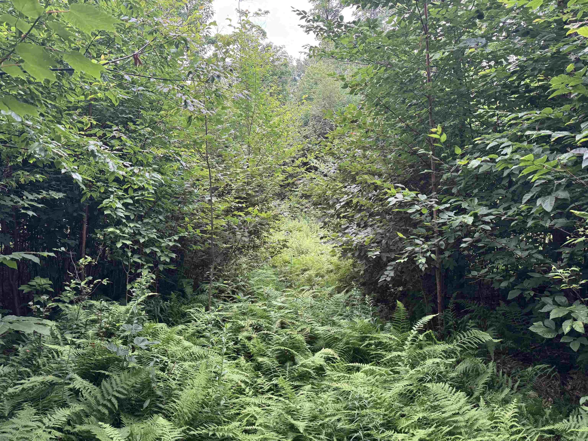 185 Valley View Road Dover VT 05356