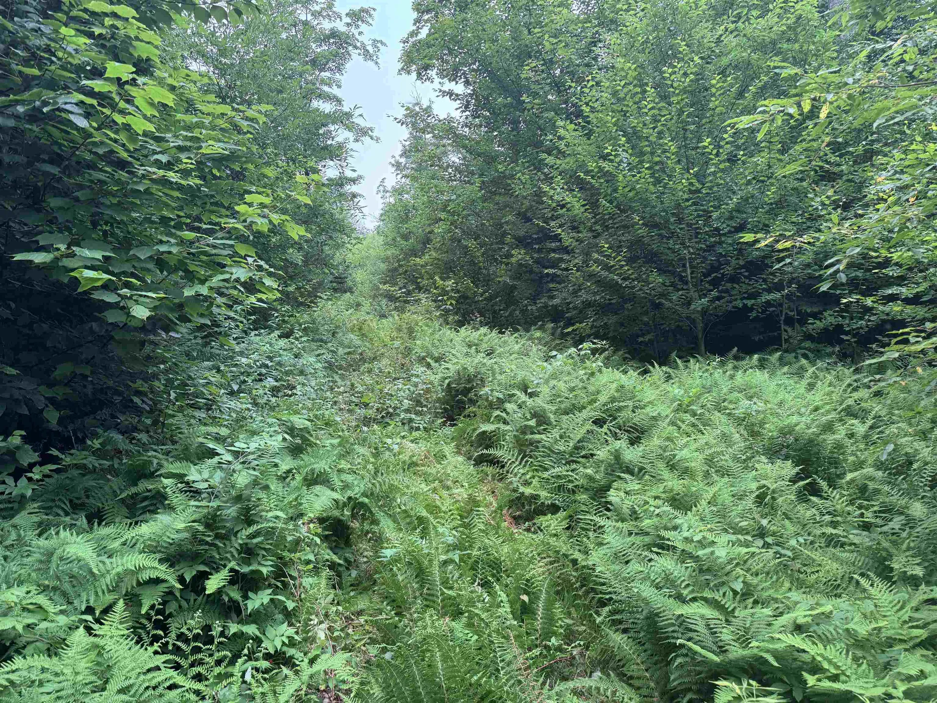 185 Valley View Road Dover VT 05356
