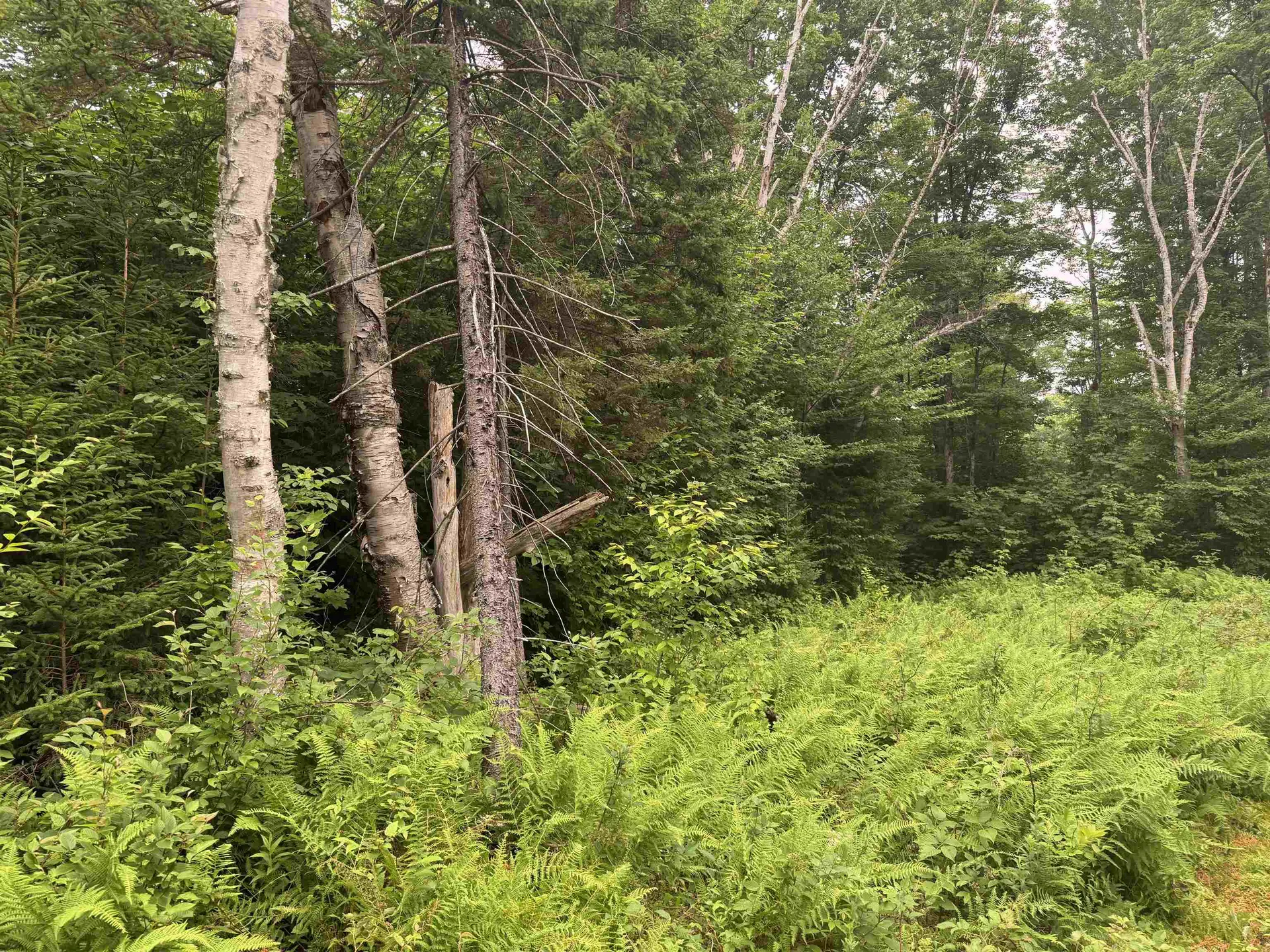185 Valley View Road Dover VT 05356