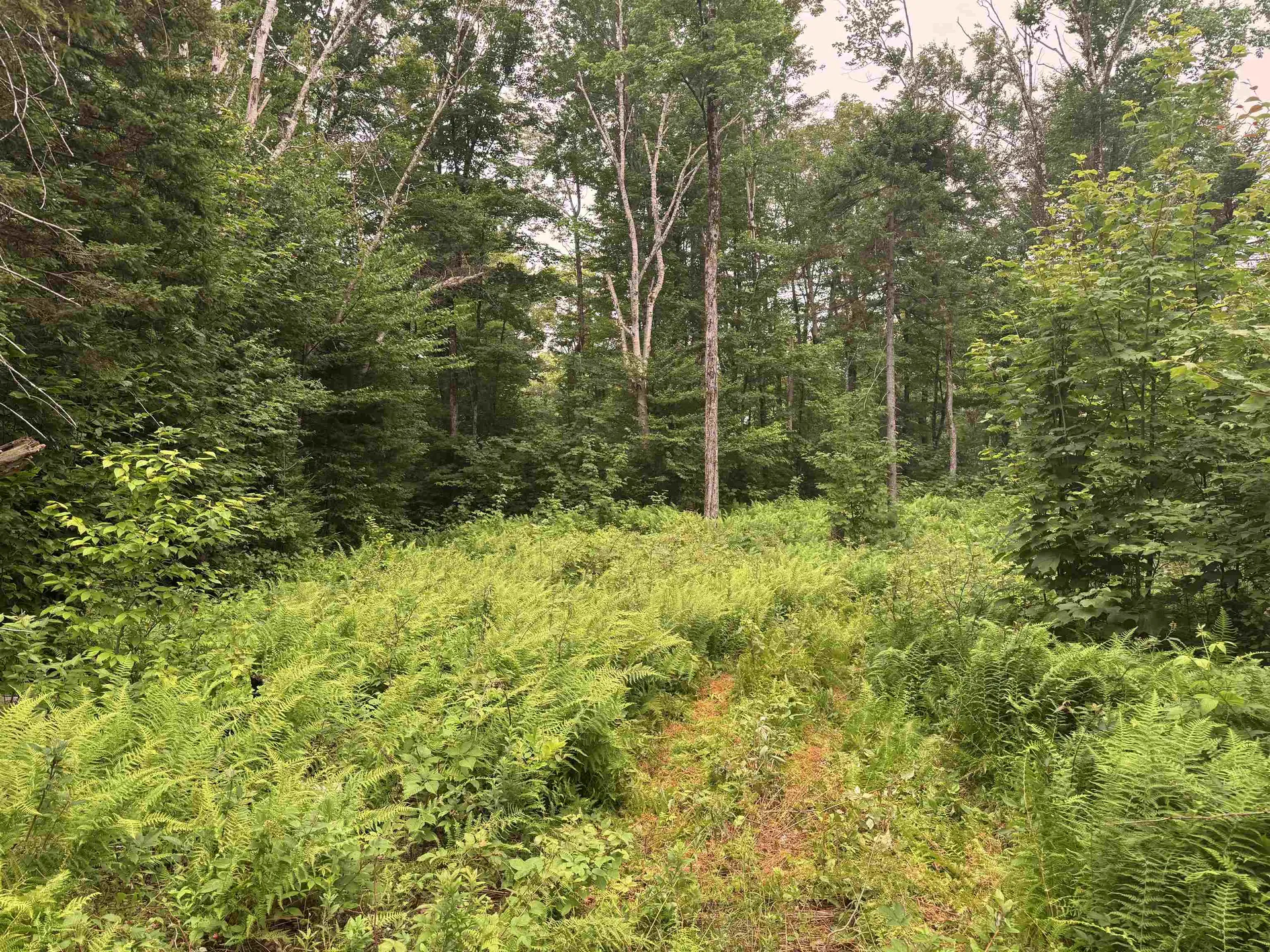 185 Valley View Road Dover VT 05356