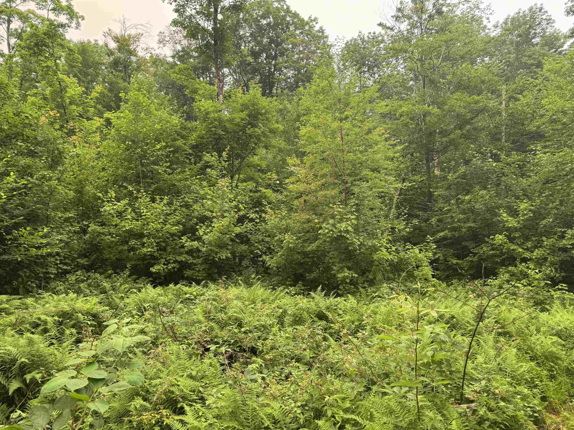 185 Valley View Road Dover VT 05356