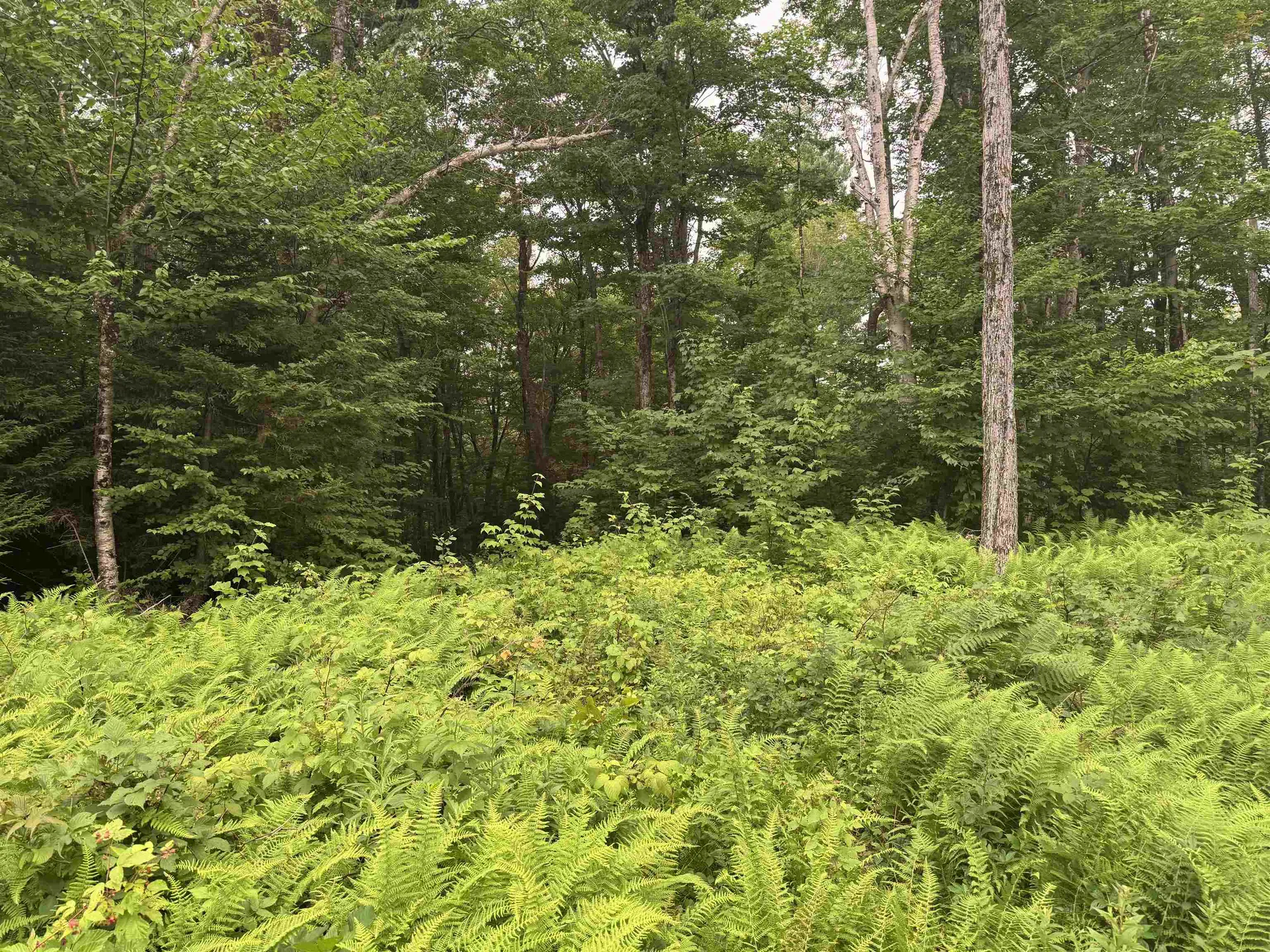 185 Valley View Road Dover VT 05356