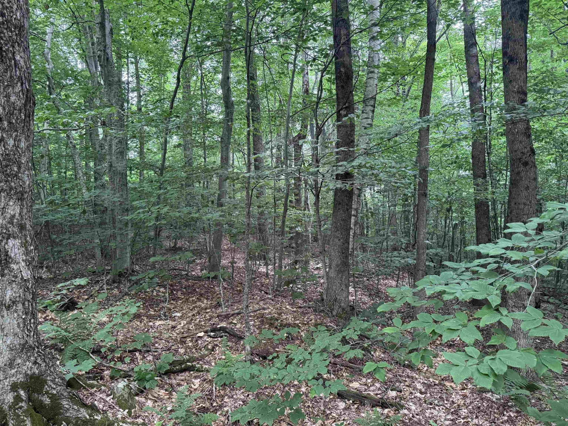 185 Valley View Road Dover VT 05356