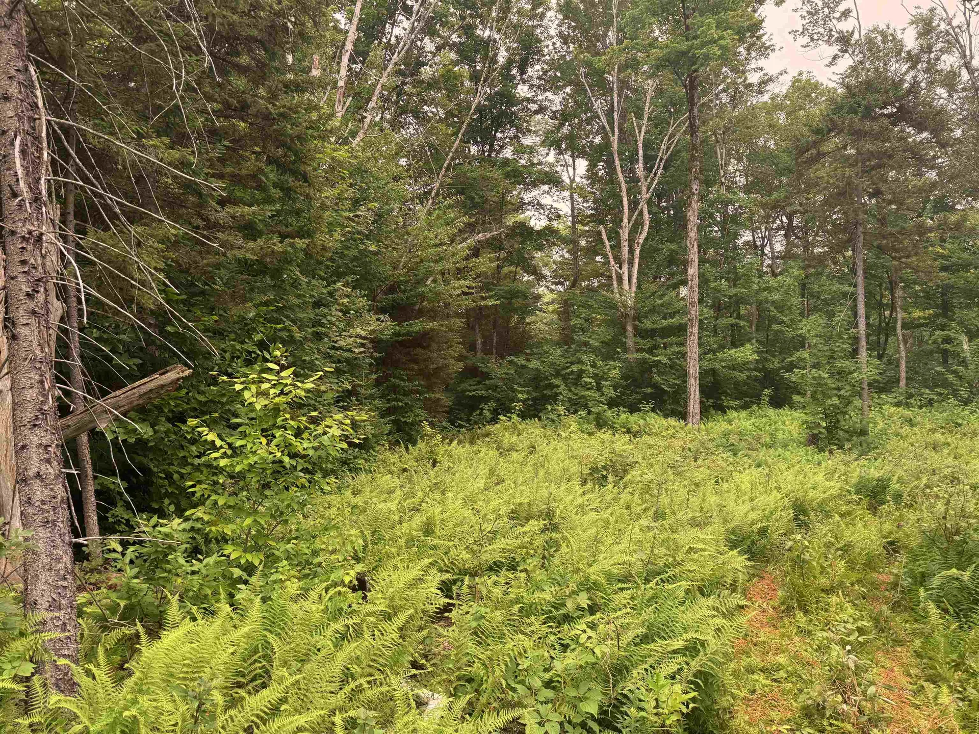185 Valley View Road Dover VT 05356