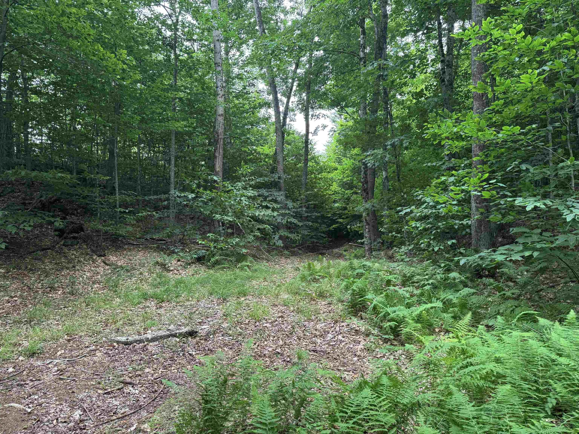 185 Valley View Road Dover VT 05356