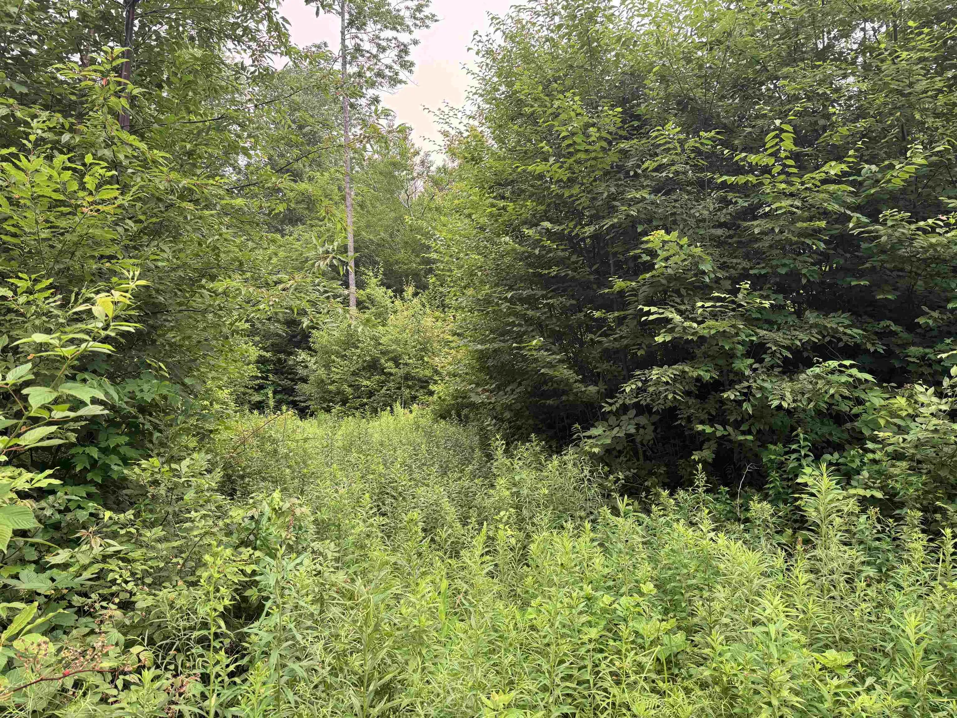 185 Valley View Road Dover VT 05356