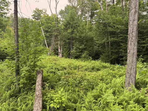185 Valley View Road Dover VT 05356