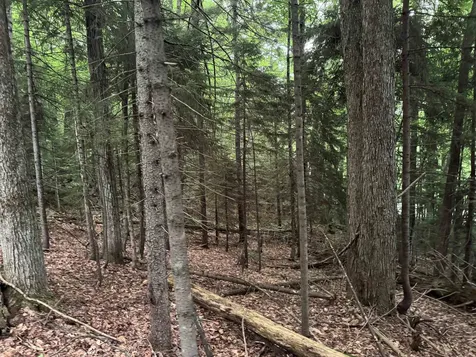 185 Valley View Road Dover VT 05356