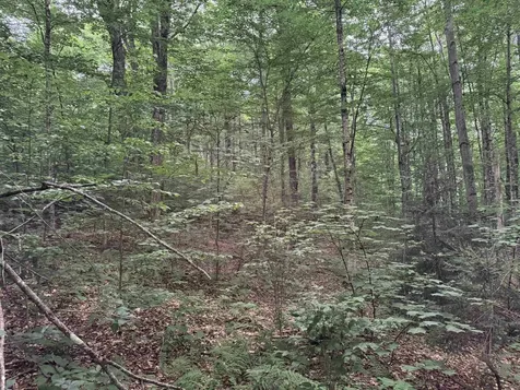 185 Valley View Road Dover VT 05356