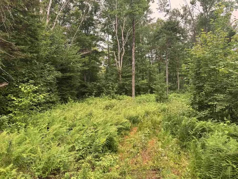 185 Valley View Road Dover VT 05356