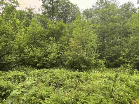 185 Valley View Road Dover VT 05356