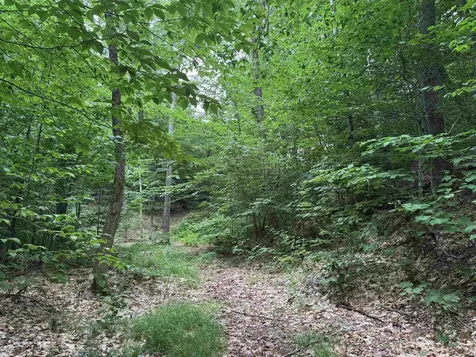 185 Valley View Road Dover VT 05356