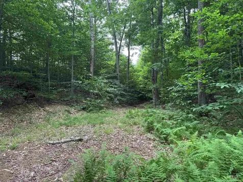 185 Valley View Road Dover VT 05356