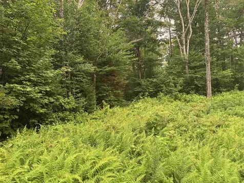 185 Valley View Road Dover VT 05356