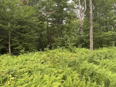 185 Valley View Road Dover VT 05356