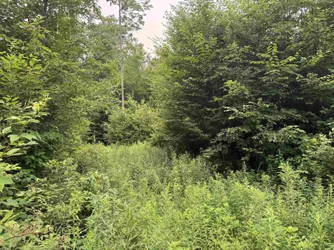 185 Valley View Road Dover VT 05356