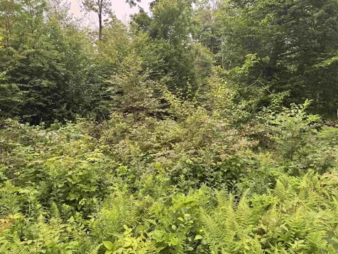 185 Valley View Road Dover VT 05356
