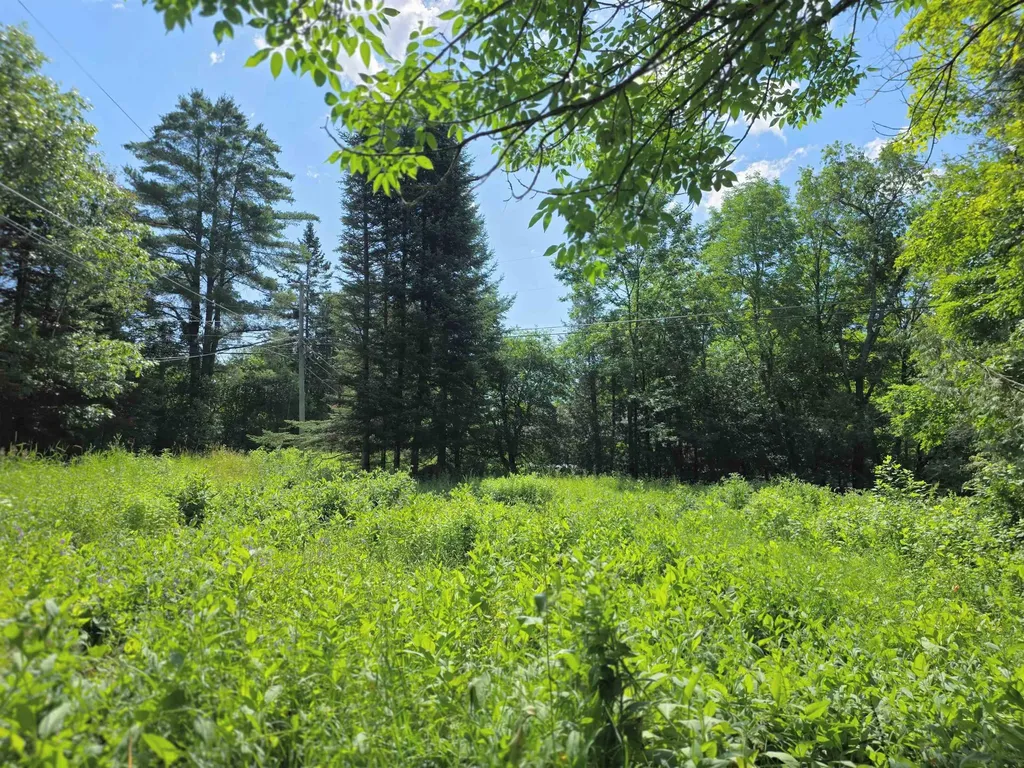 76 Harveys Hollow Road Danville VT 05828
