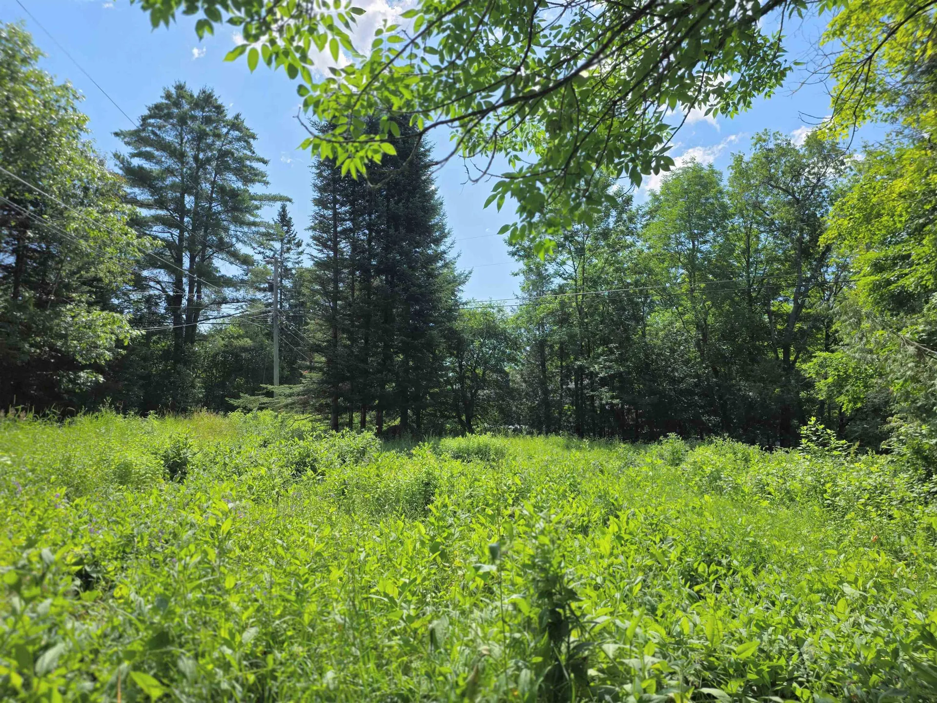 76 Harveys Hollow Road Danville VT 05828