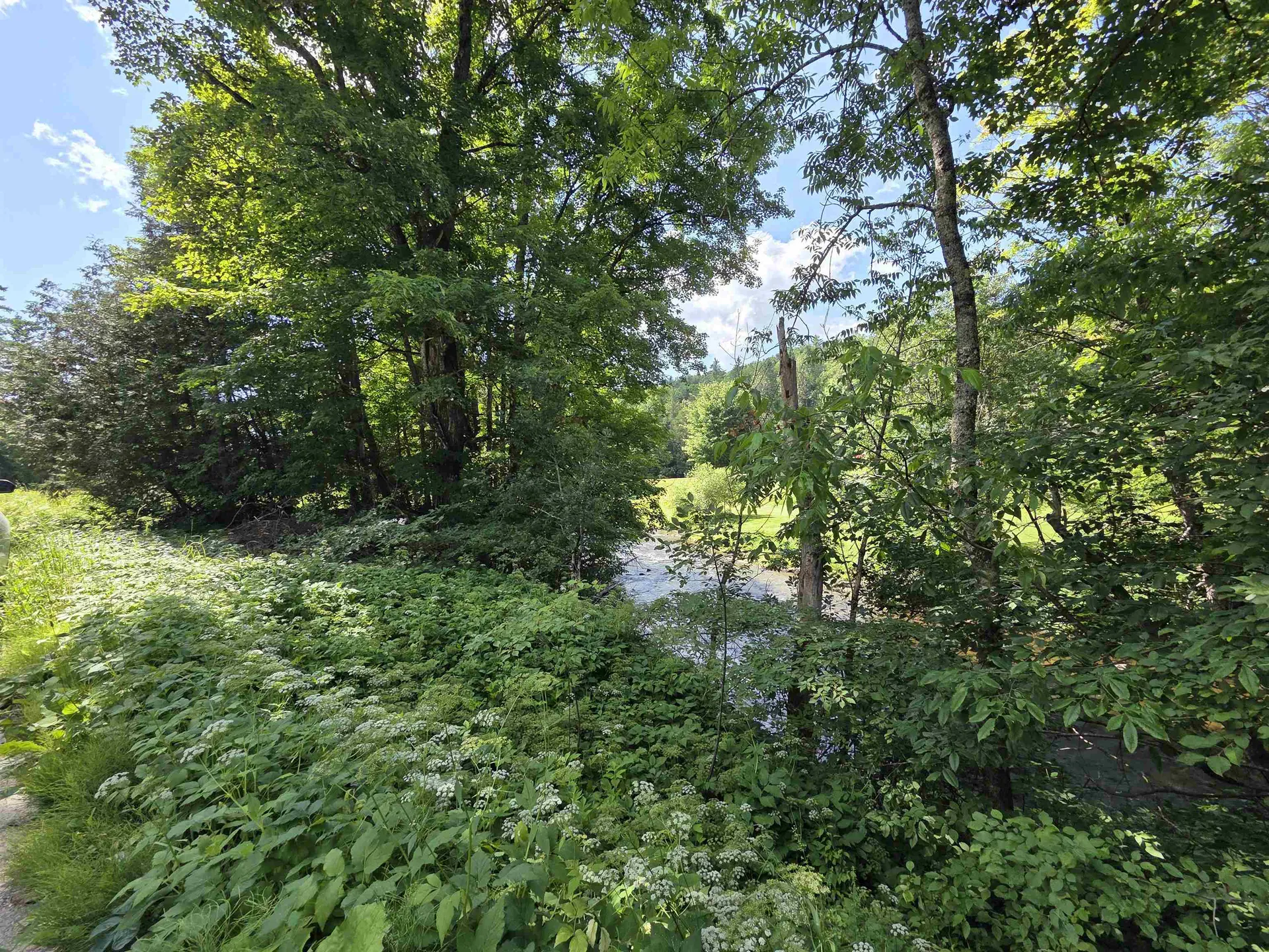 76 Harveys Hollow Road Danville VT 05828