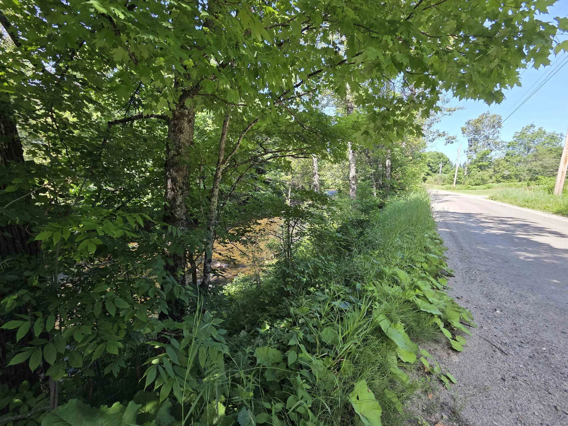 76 Harveys Hollow Road Danville VT 05828