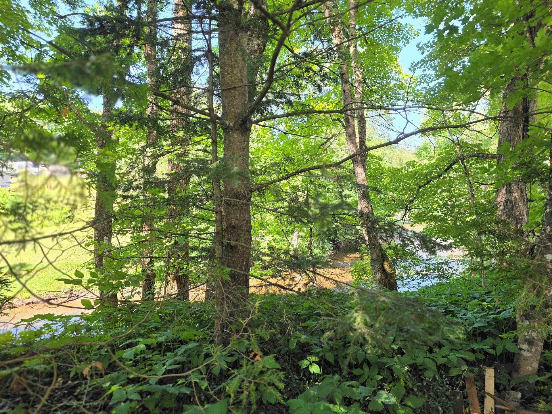 76 Harveys Hollow Road Danville VT 05828