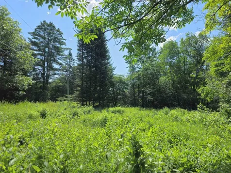 76 Harveys Hollow Road Danville VT 05828