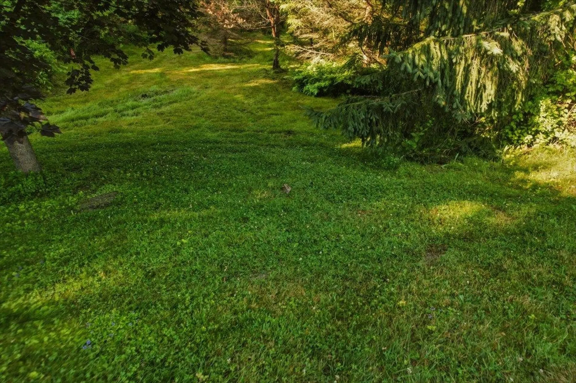 527 Heineberg Drive Colchester VT 05446