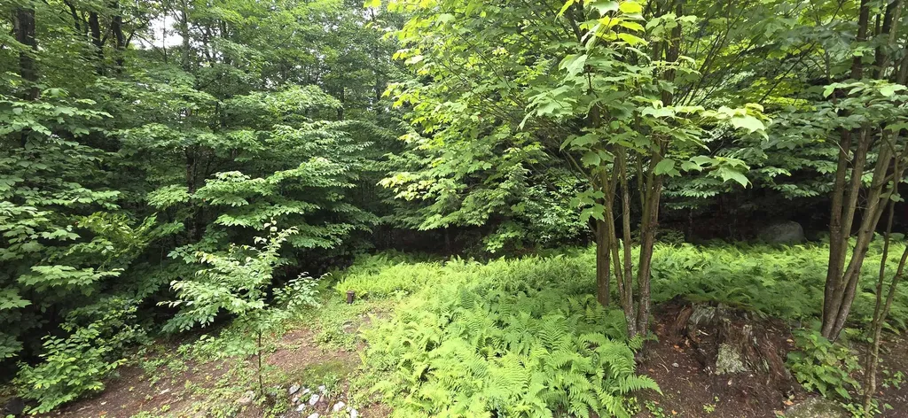 306 Coolidge Drive Washington NH 03280