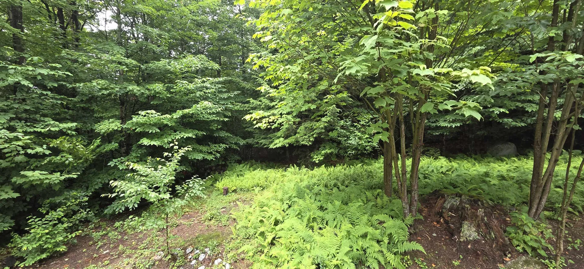 306 Coolidge Drive Washington NH 03280