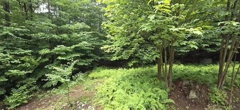 306 Coolidge Drive Washington NH 03280