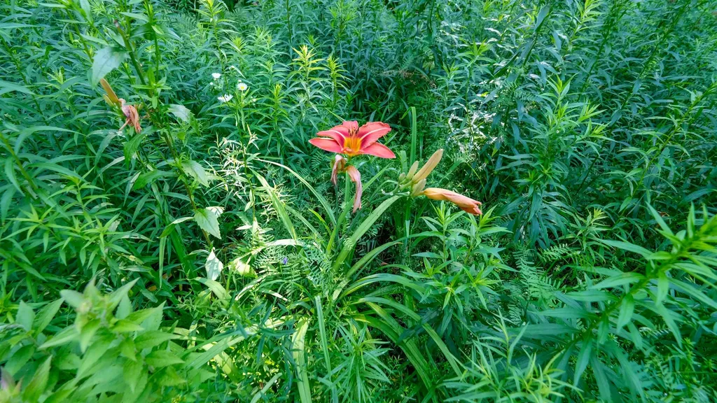 0 Berry Patch Lane Ludlow VT 05149