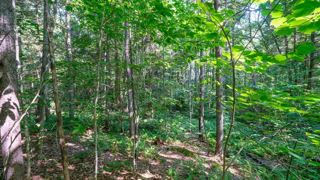 0 Berry Patch Lane Ludlow VT 05149