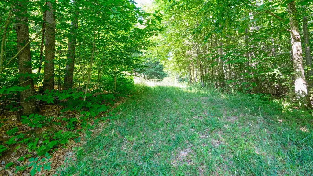 0 Berry Patch Lane Ludlow VT 05149