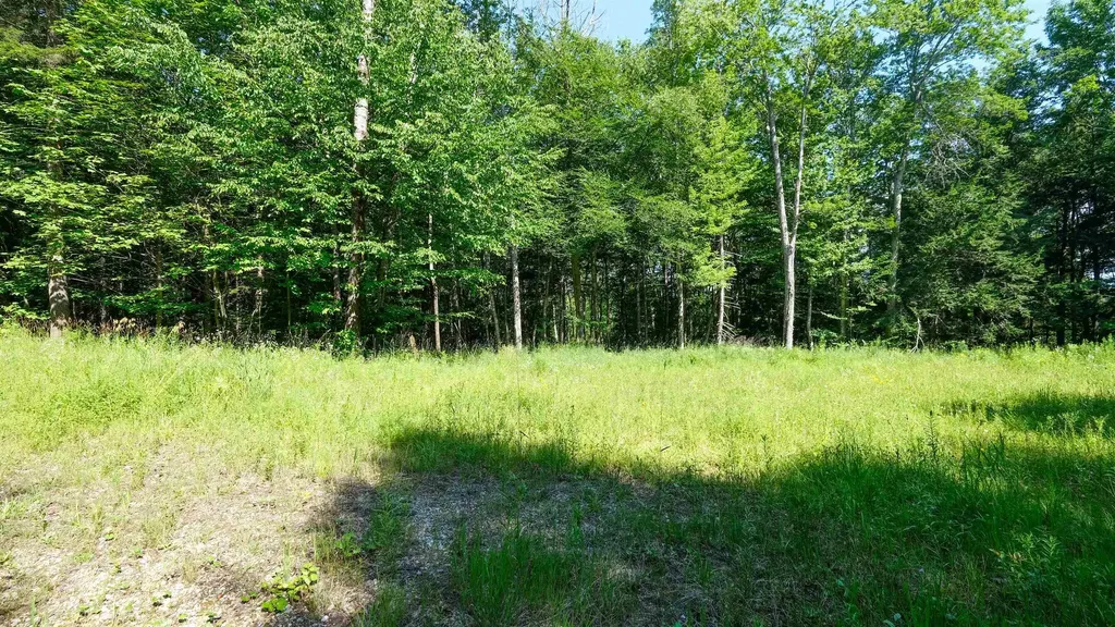 0 Berry Patch Lane Ludlow VT 05149