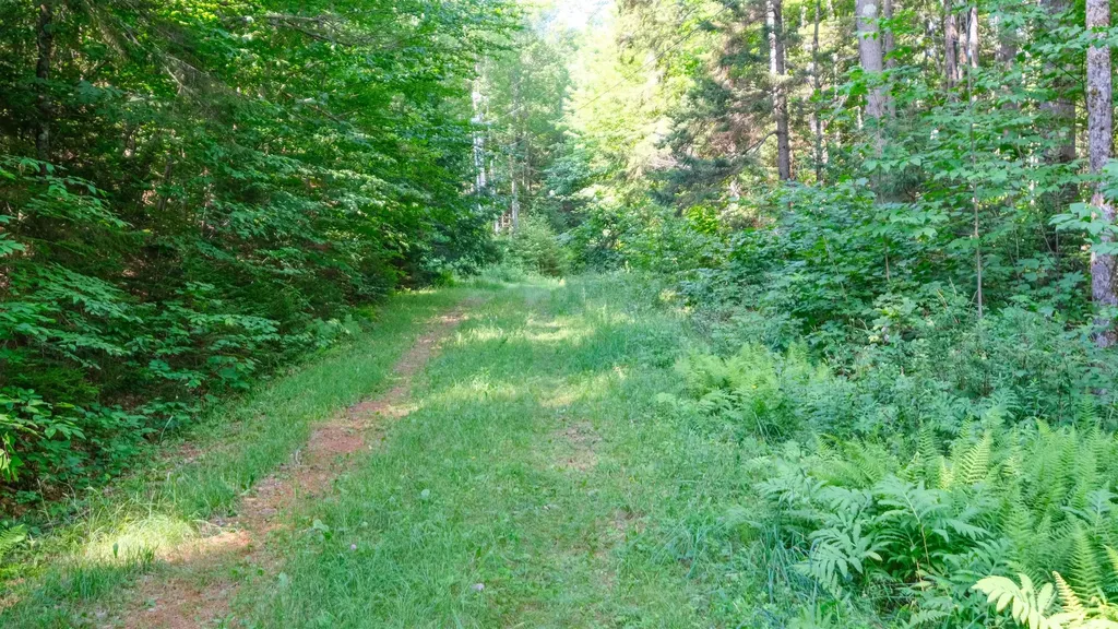 0 Berry Patch Lane Ludlow VT 05149
